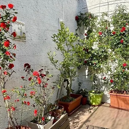 بيت للعطل Casa Di Nicola سيتارا